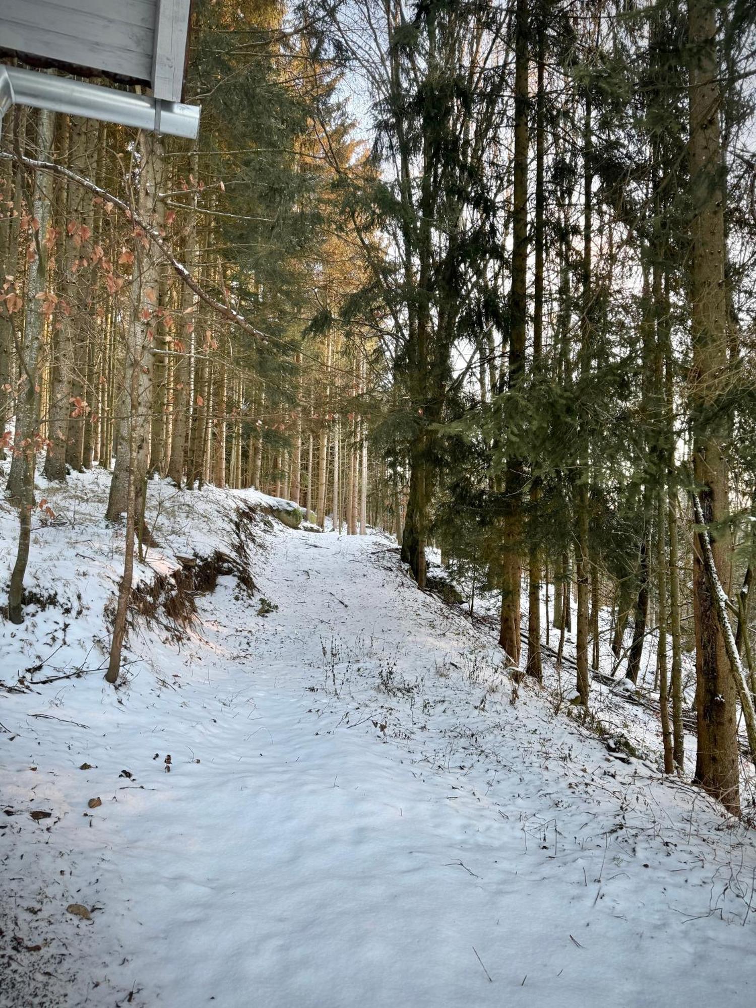 Huskyhausen Klaffer am Hochficht