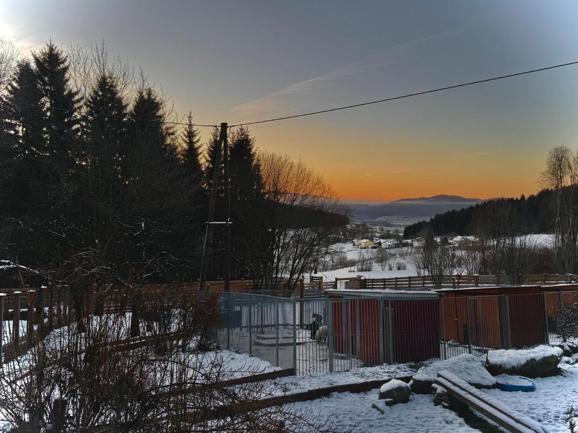 Huskyhausen Apartment *